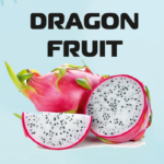 Dragon Fruit Powder 1,00kg